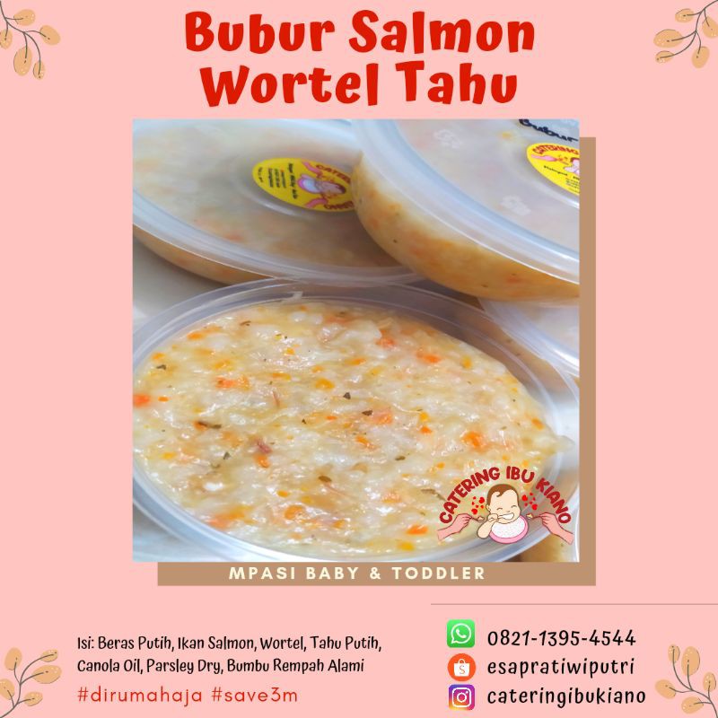 Bubur Salmon Catering Mpasi Bayi Frozen Beku Shopee Indonesia