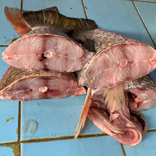 

Kakap potong