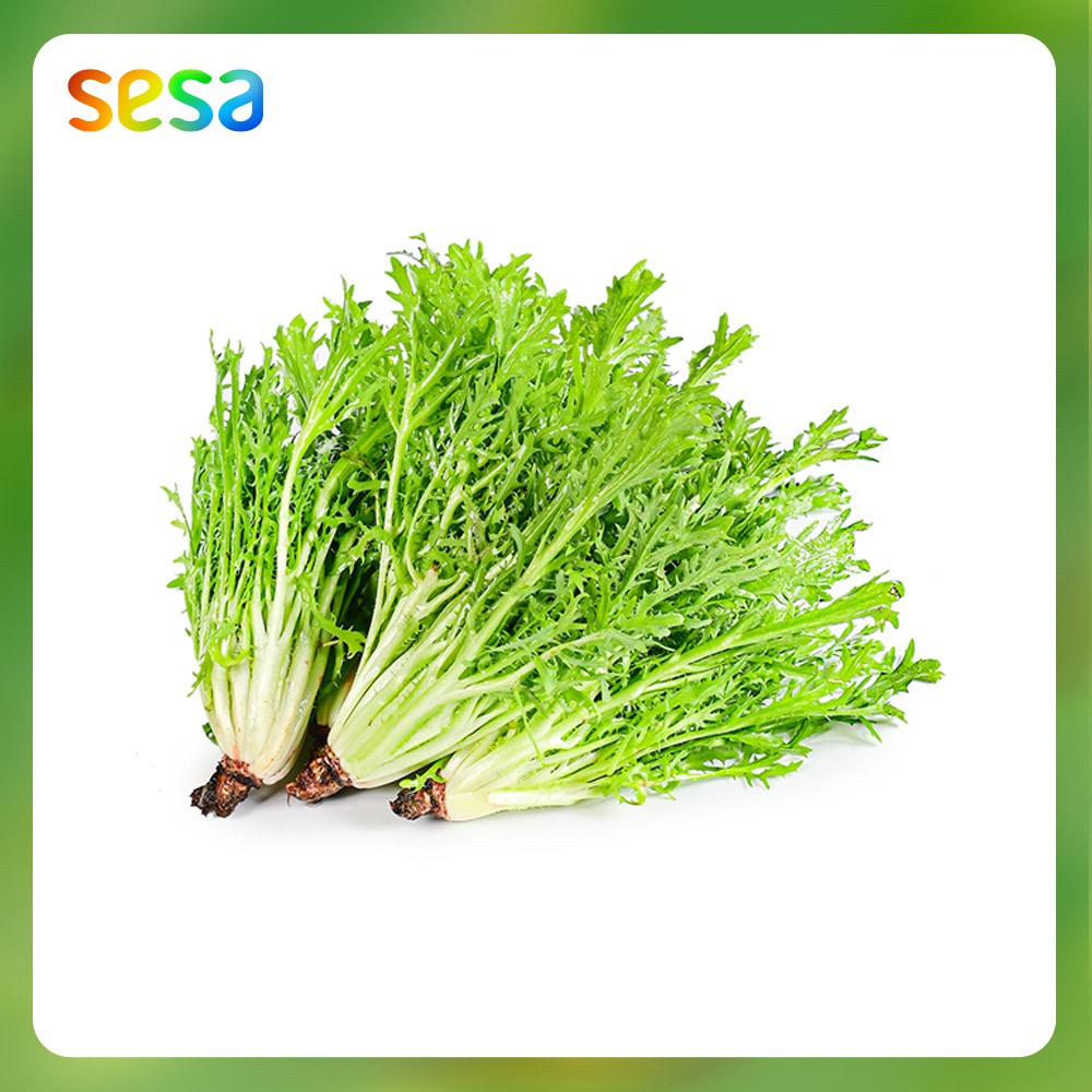 

Selada Endive Organik Sesa 200 G