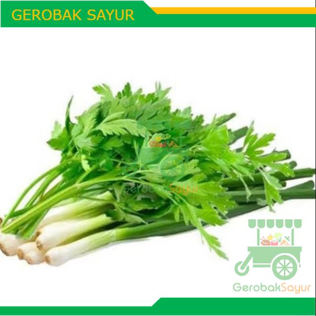 

Daun Bawang Seledri 1 Ikat 180 - 280 g