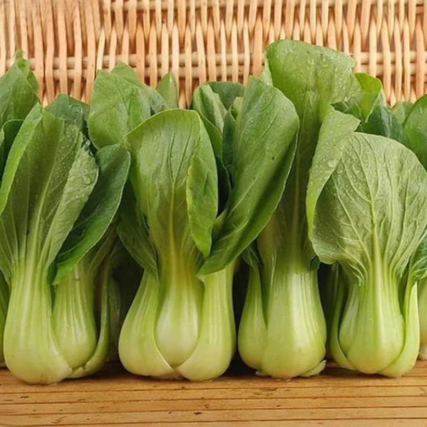 

[12.12] Biji Sawi Daging Pak Choi Bok Choy Chinese Cabbage
