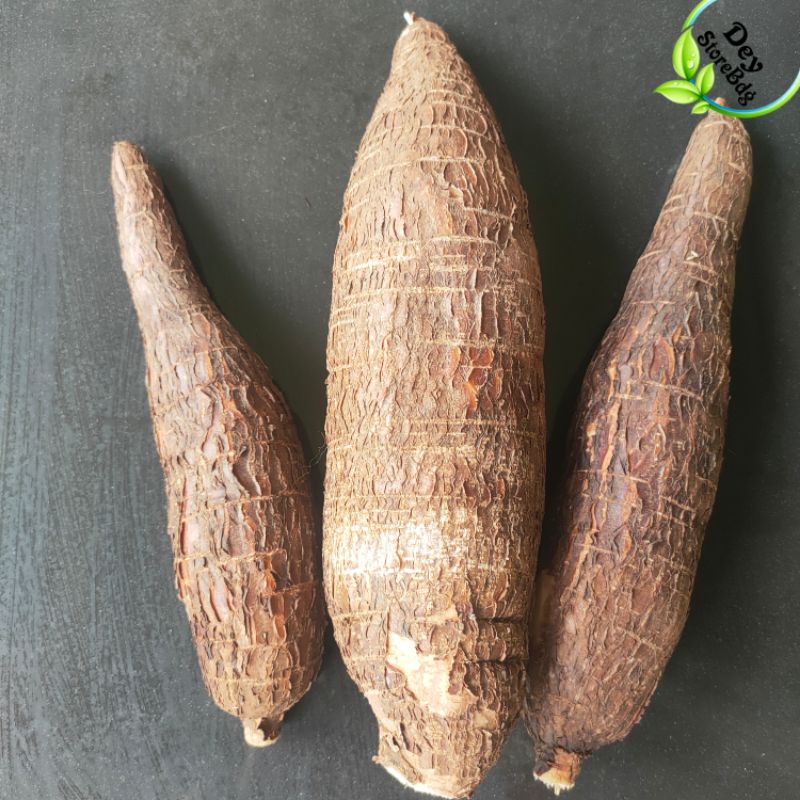 

Singkong Racun Sapi kuru 1kg