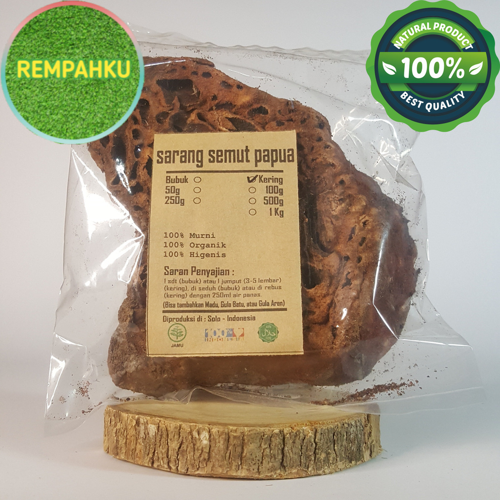

SARANG SEMUT KERING 100 GRAM - Myrmecodia - MURNI - JSR - REMPAH