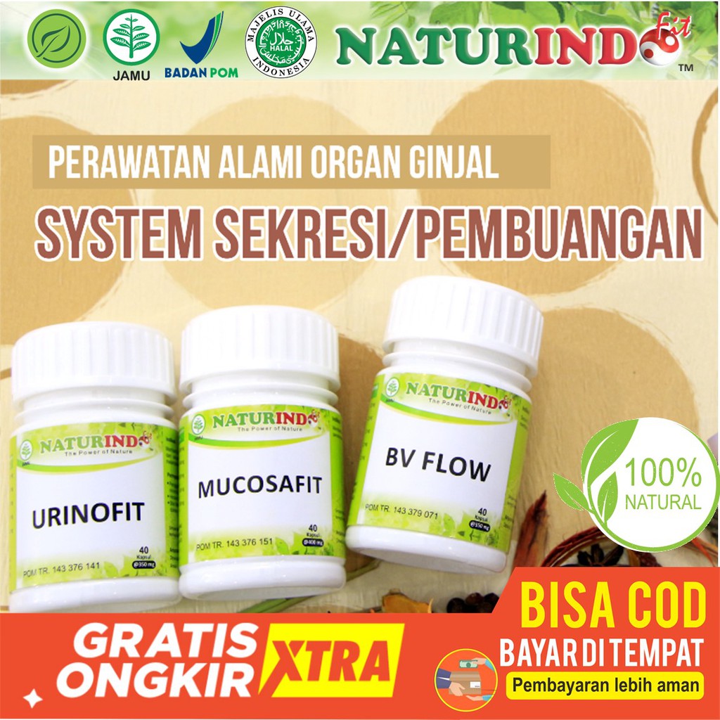Obat Herbal Ginjal-Infeksi Ginjal-Gangguan Ginjal PAKET naturindo 3pcs