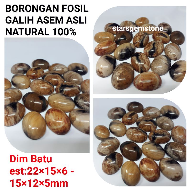 FOSIL GALIH ASEM ASLI NATURAL BIJIAN