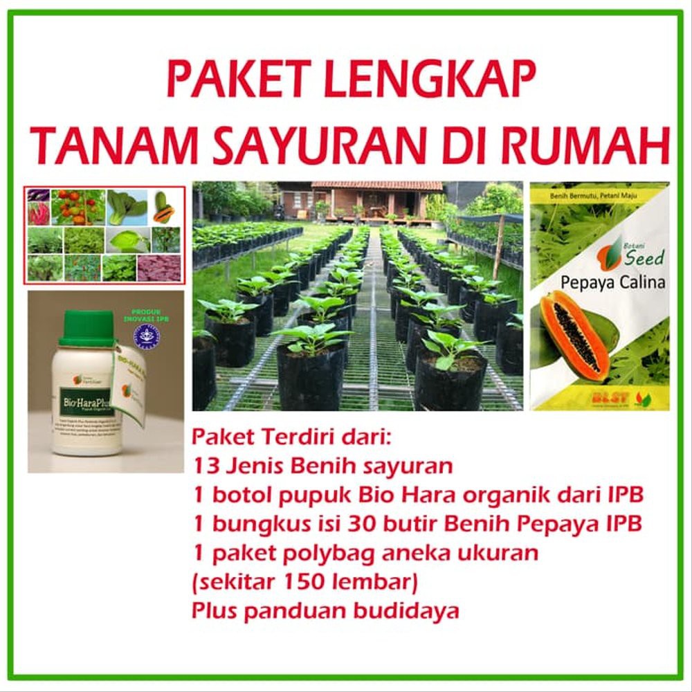 Paket Tanam Sayuran di rumah bibit tanaman sayuran polybag pupuk