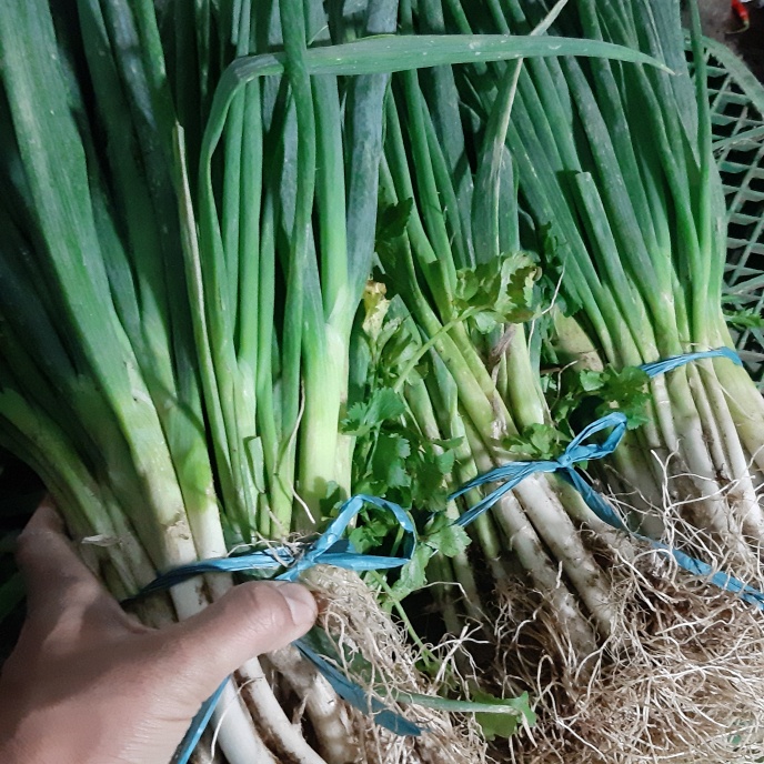 

Daun Bawang 1kg(1000g)