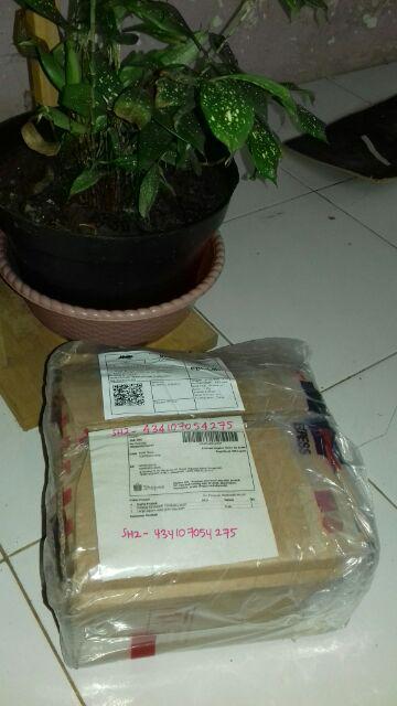 Large Square Away Gold Atau Putih