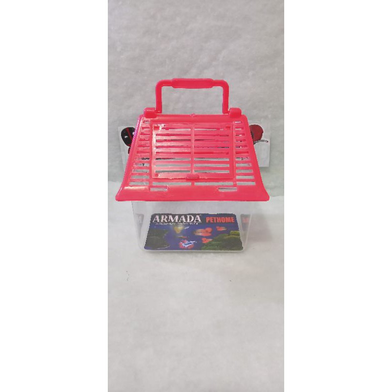 Soliter aquarium ikan hias cupang kura pet home