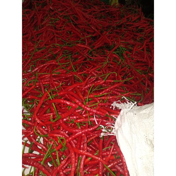

Cabe Keriting