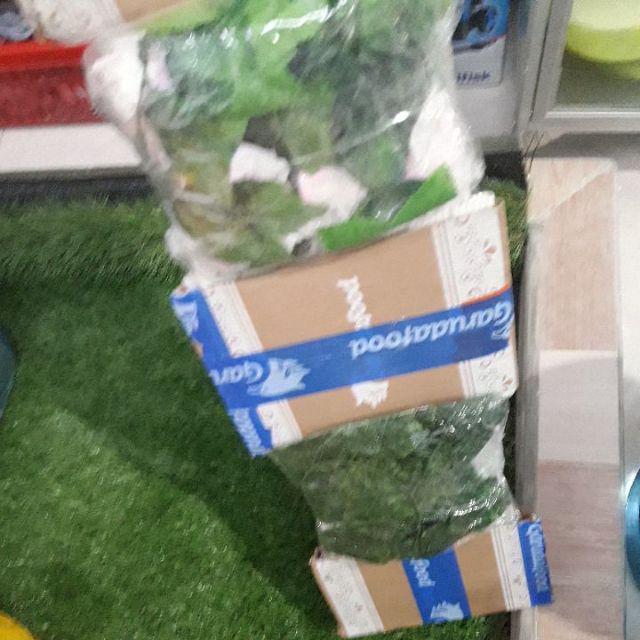 Daun Rambat Bunga Mawar Bunga Palsu Bunga Plastik