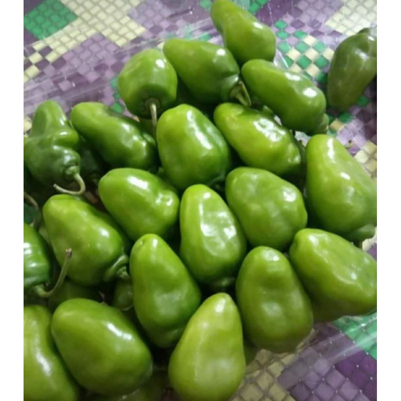 

cabe gendot/sayuran segar 250grm