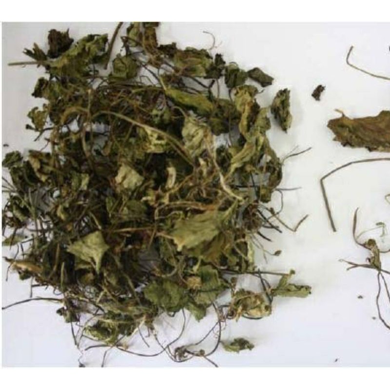 

Akarrempah Daun Pegagan Kering / Teh Daun Antanan isikeranjangmu