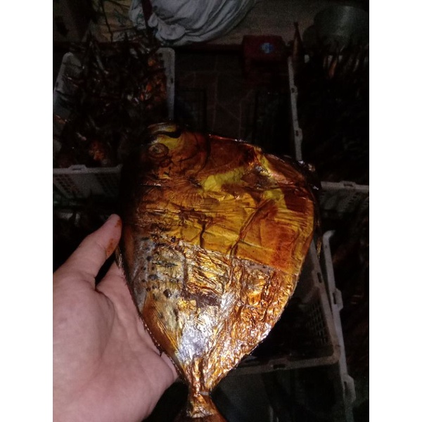 

Ikan Bagong Asap / Panggang (-+250 grm)