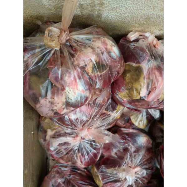 

ampela bebek 10pasang