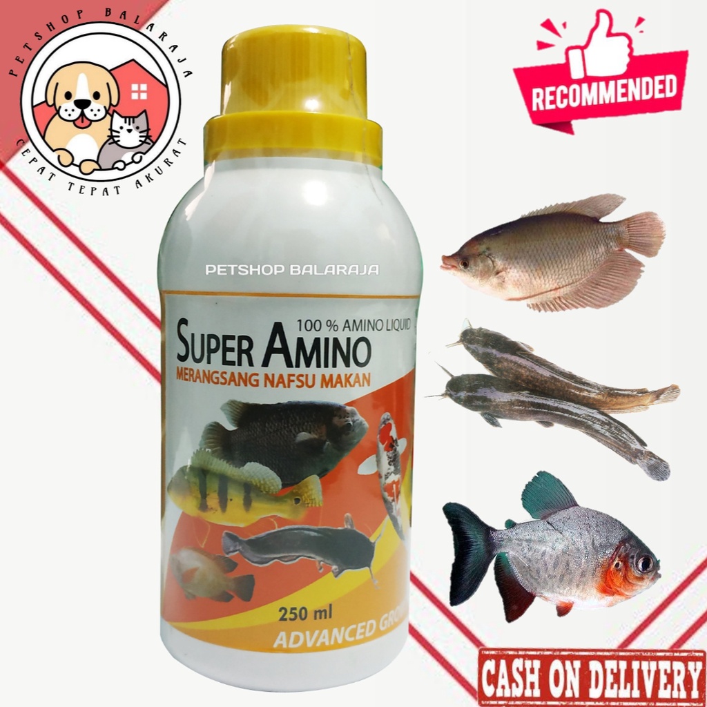 VITAMIN PENAMBAH NAFSU MAKAN PENGGEMUK IKAN GURAME MAS LELE PATIN NILA PATIN MUJAER DLL - SUPER AMINO