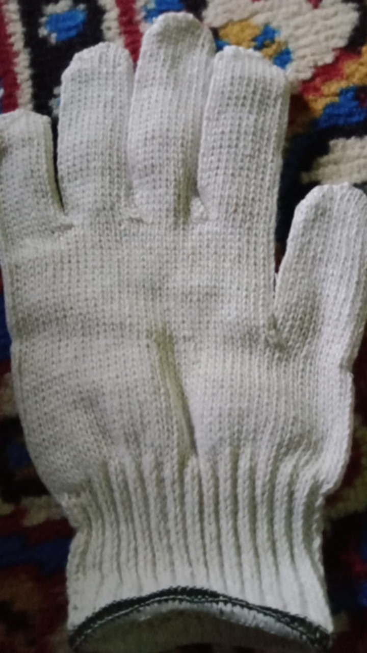 Working Gloves 8b Green - Sarung Tangan Kerja Industri Benang 8 Hijau