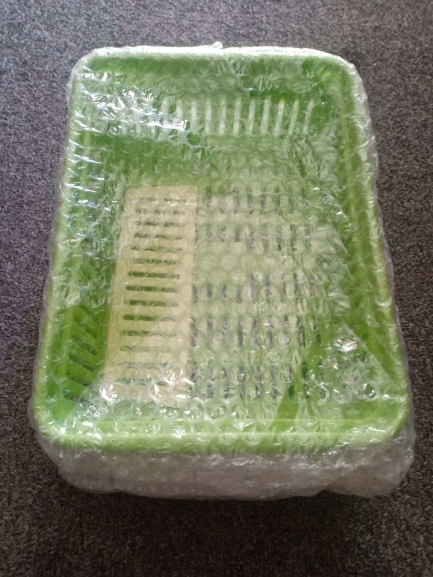 Tempat Bawang Lombok Hijau (tbl 1051 Golden Sunkist)