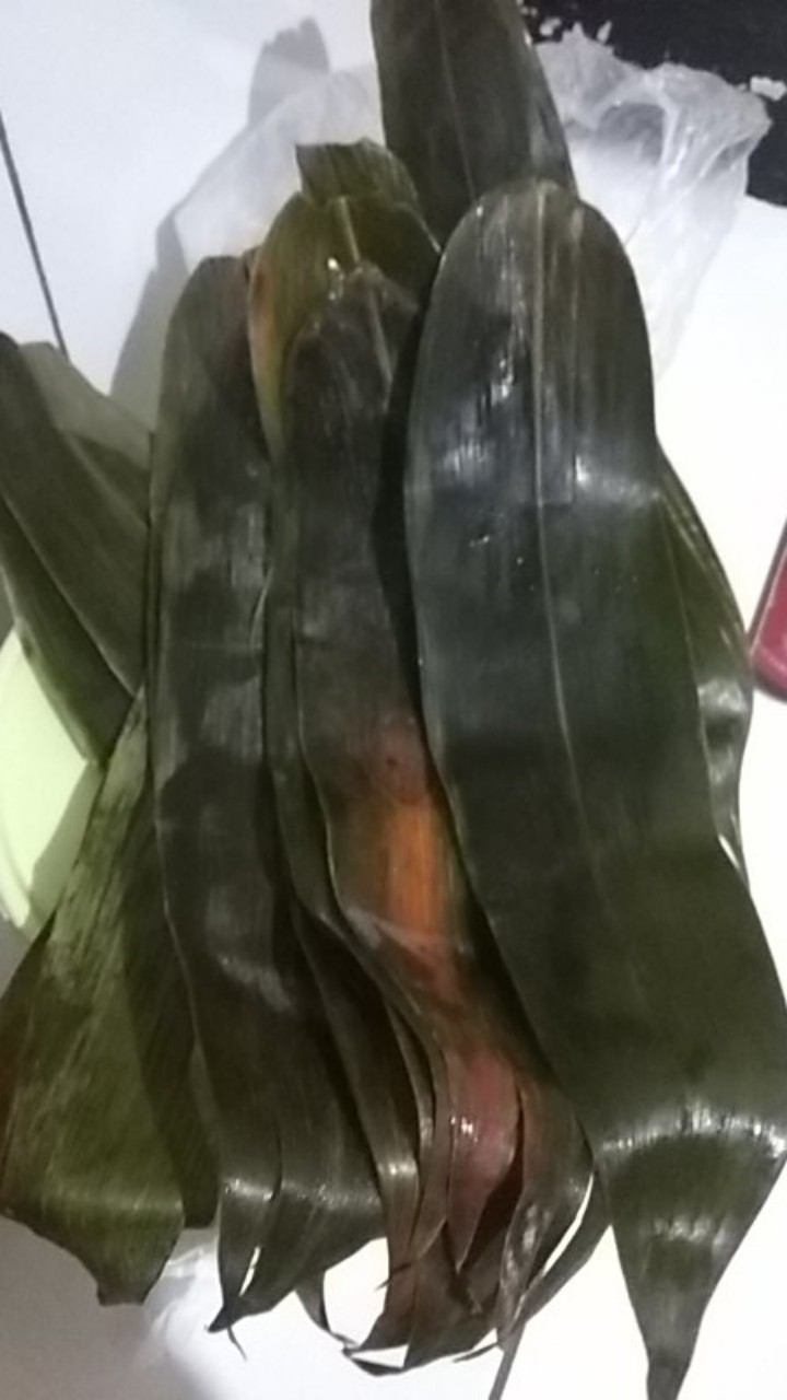 100 Lembar Daun Bambu Bungkus Bacang Bakcang