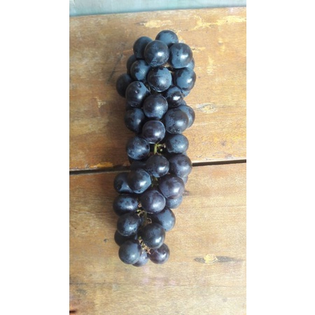 Anggur hitam bali