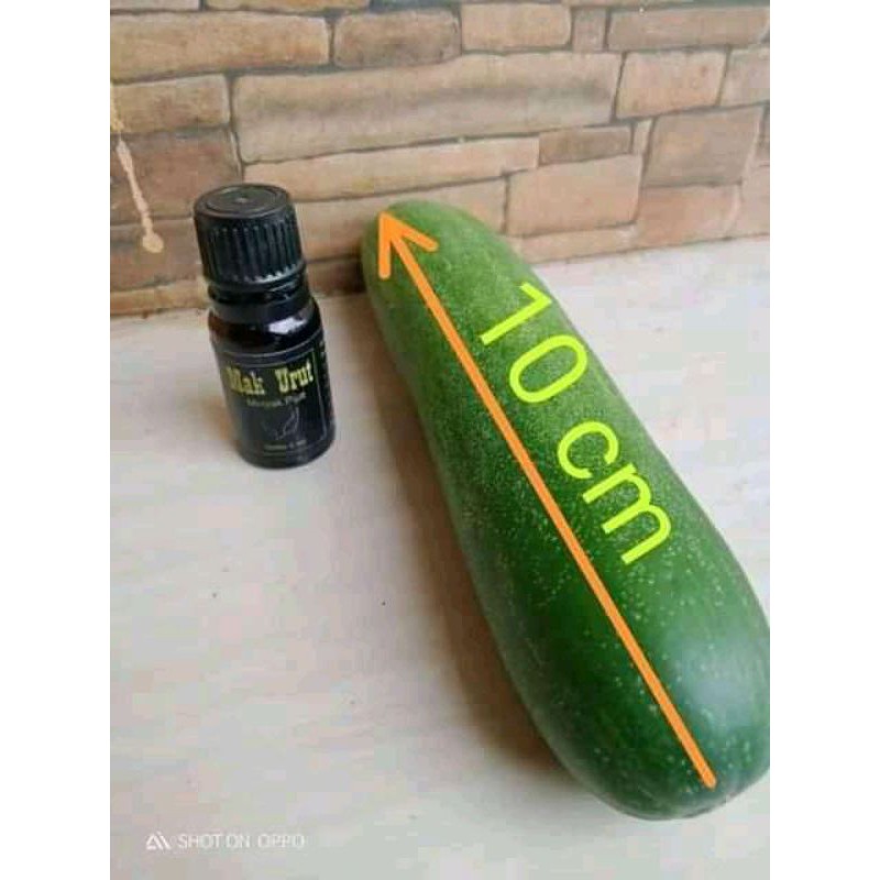 Memeper panjang dan mmbesar kan alat vital