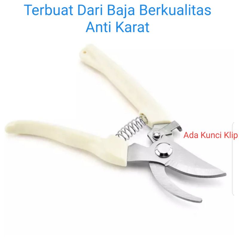 Gunting Ranting Baja Untuk Dahan Dan Ranting ORIGINAL Tajam Dan Anti Karat