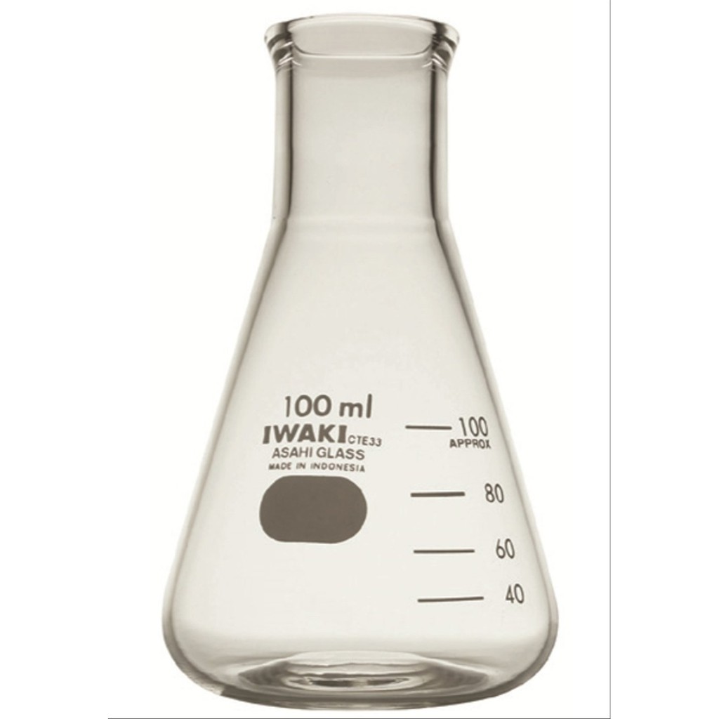 Erlenmeyer 250 Ml Iwaki