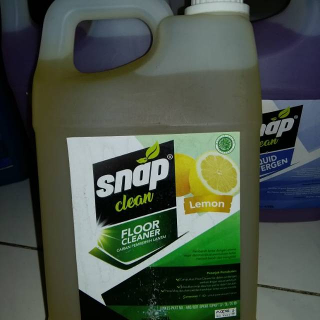 Floor cleaner Snap Clean
