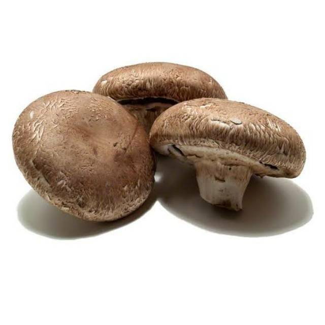 

JAMUR PORTABELLO per 500 gr