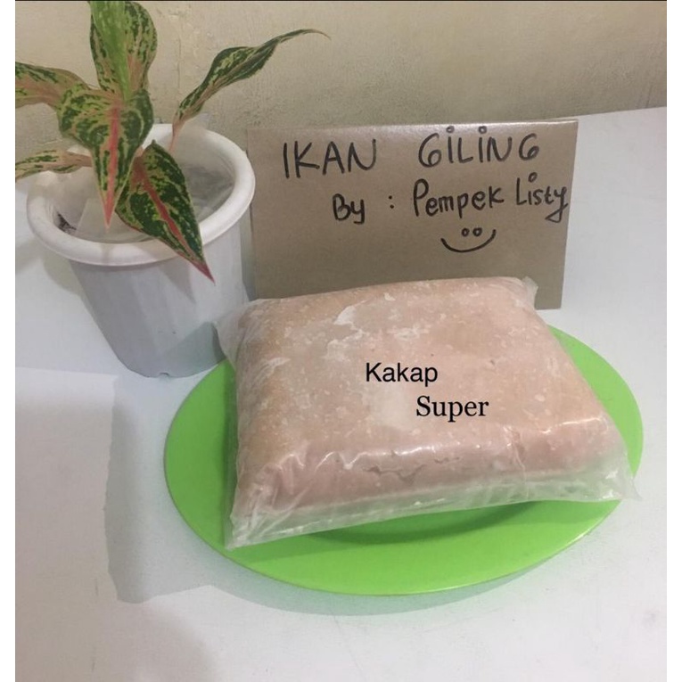 

Kakap Super giling (1kg)