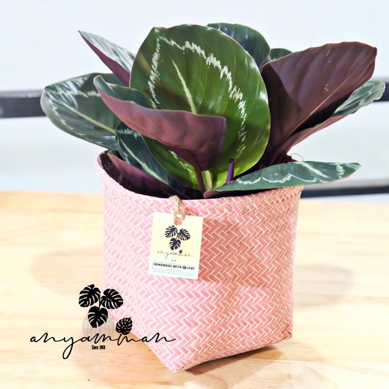 Pot Anyaman/Cover Pot Anyaman Plastik Kekinian Merah