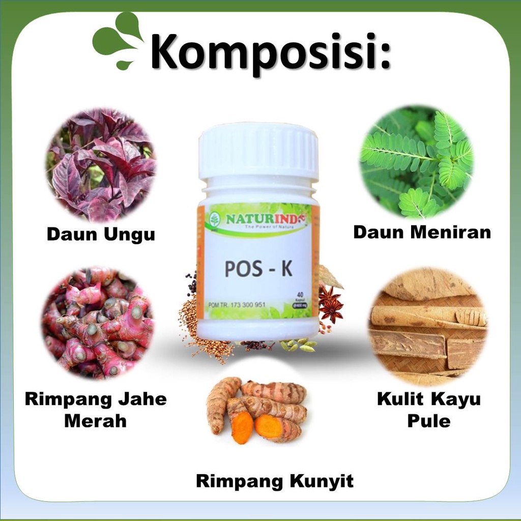 Obat Herbal Infeksi Saluran Kemih Kencing Sakit Beser Anyang Anyangan Ngompol Paket Herbal Alami COD-2