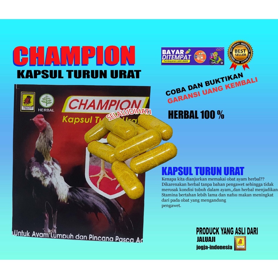 CHAMPION KAPSUL TURUN URAT LUMPUH PINCANG BENGKAK JALU AJI AYAM-OBAT,JAMU,VITAMIN AYAM-DOPING