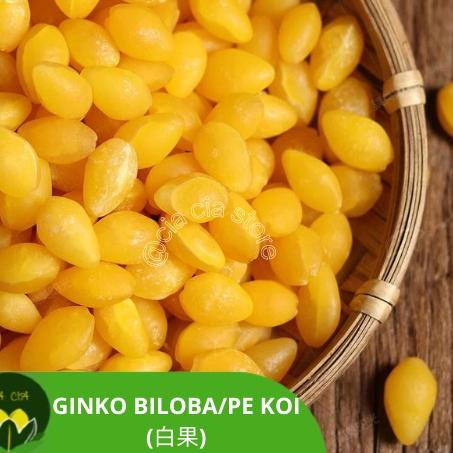 

(vwyw -673) Ginko biloba / ginko nut / pe kea / kupas fresh kering 785PGWD
