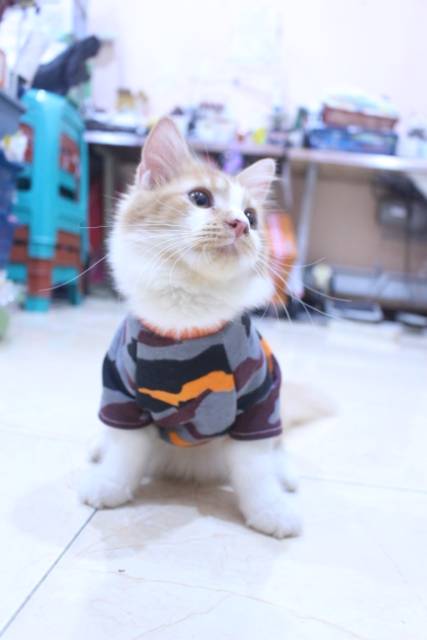 Kaos army dasar warna orange lucu untuk kucing dan anjing / baju kucing murah size S M L XL