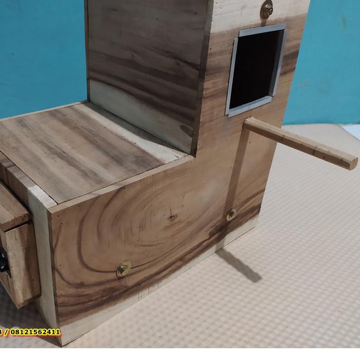 Terbaru Glodok Falk Parkit Australia Bentuk L Mantap .. .. ..