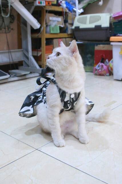 Dress motif army abu-abu untuk kucing size S-XL