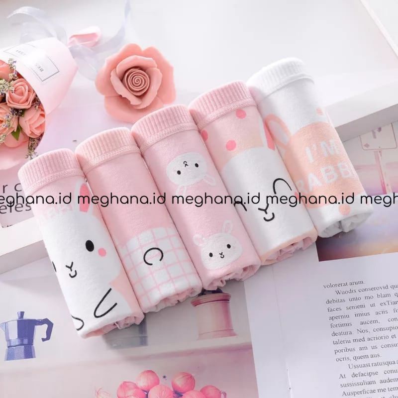 CELANA DALAM PREMIUM SUPER BAGUS M L XL MOTIF (CD KELINCI)