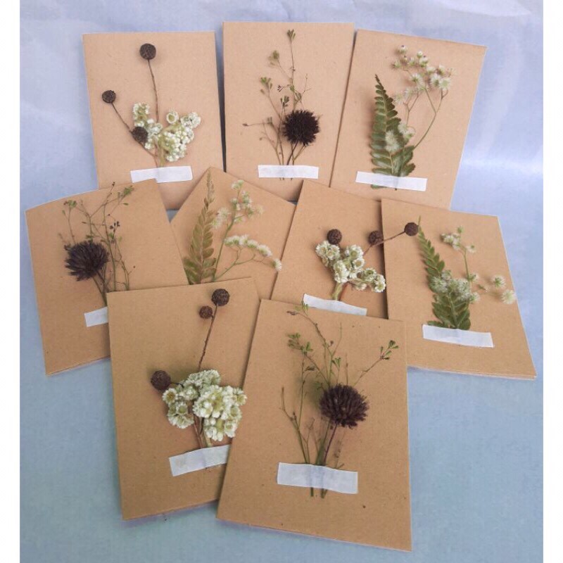 Jual Kartu Ucapan Dried Flower Greeting Card Pre Card Shopee Indonesia