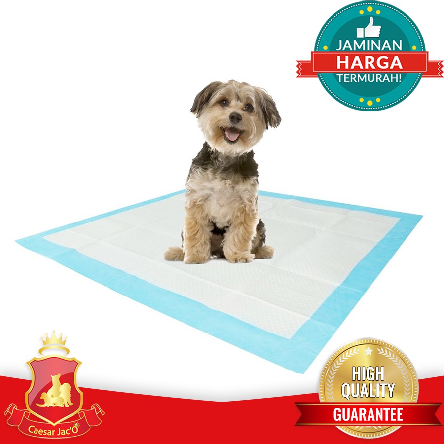 Dog Cat Underpad Alas Perlak Training Poop Dan Pee Hewan