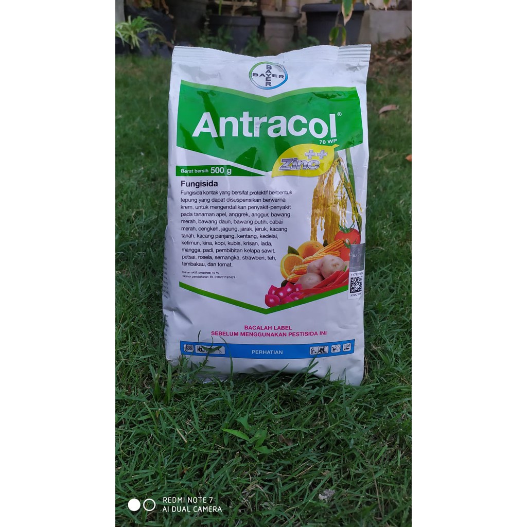 Antracol 70WP Fungisida 500gr