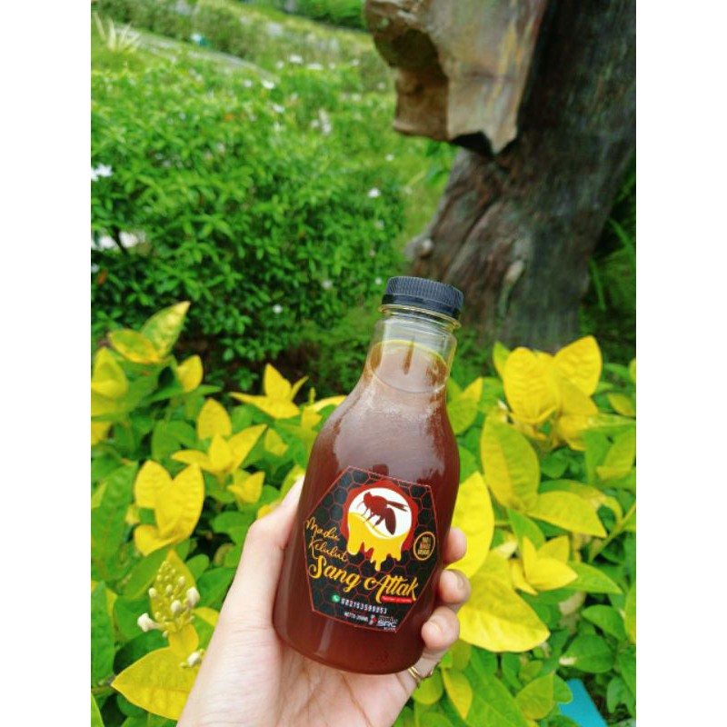

Madu Kelulut Sang Attak