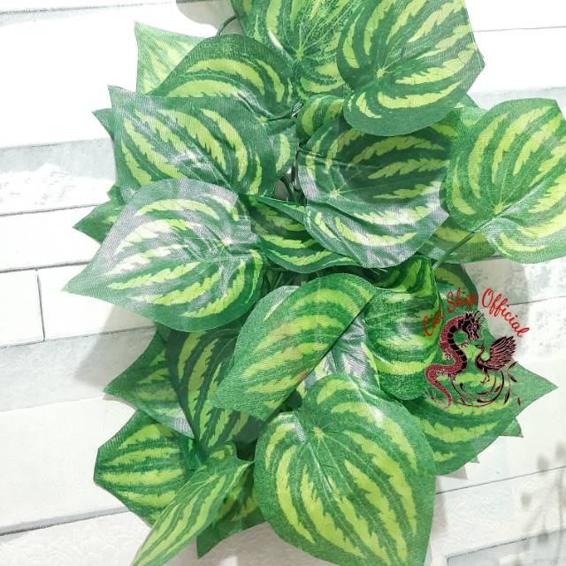 2m daun rambat/daun rambat semangka/daun rambat sirih/daun rambat hijau/daun rambat dekor