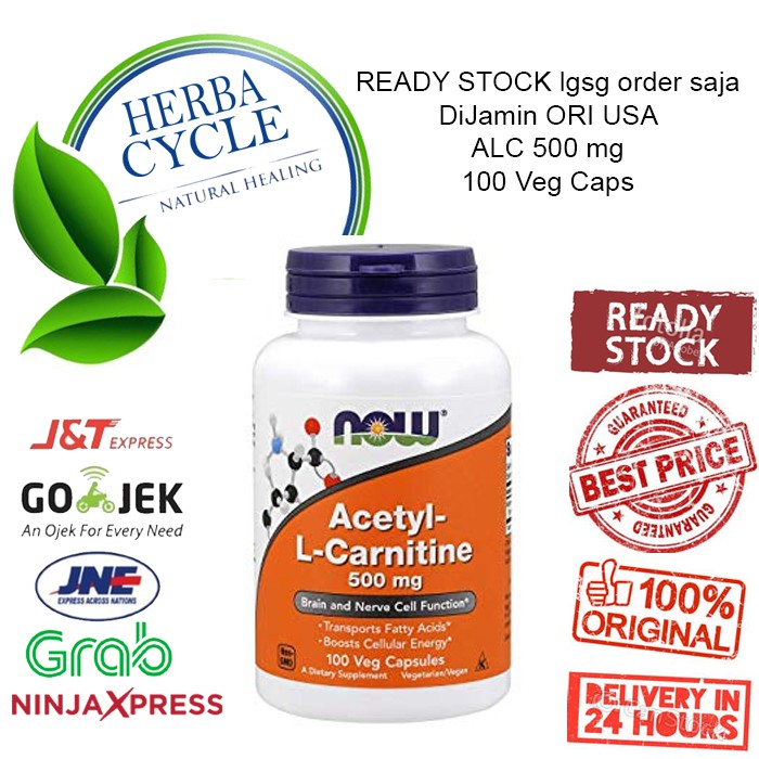 Now Foods Acetyl L Carnitine 500 mg 100 Veg Now Carnitine Otak Saraf