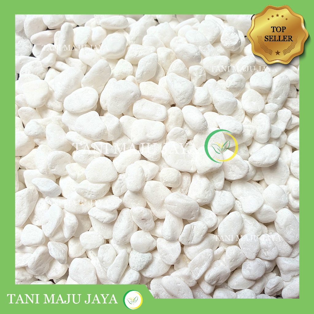 Batu Hias Putih Salju 500 gram Media Tanam Pot Tanaman Dasaran Aquascape
