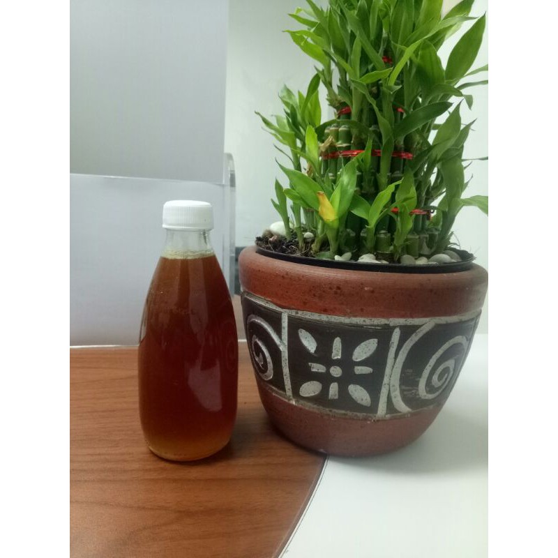 

madu hutan asli murni khas bima sumbawa isi 250ml madu murni 100% terlaris