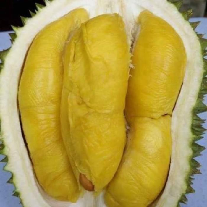 

Buah | Durian Musang King Pahang Kemasan 400Gr