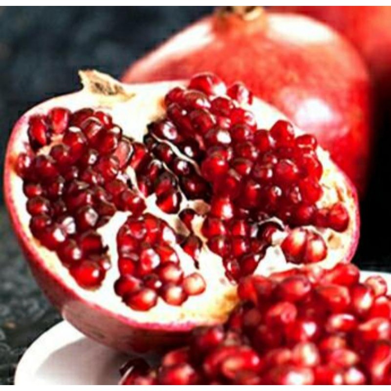 bibit delima merah biji lunak