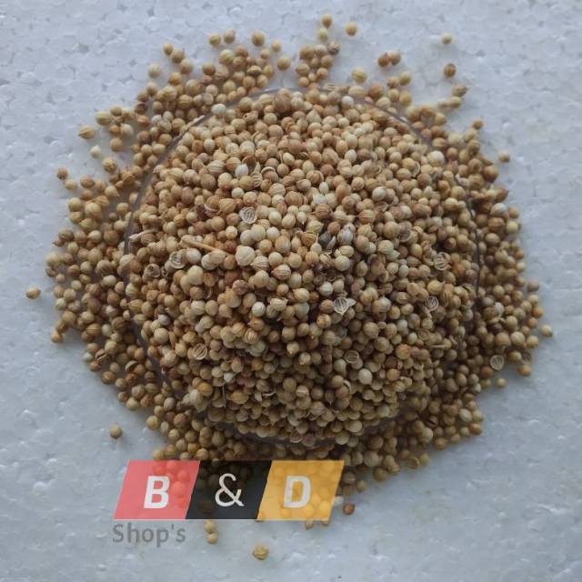 

Biji Ketumbar | Bumbu Masak | Rempah-Rempah Netto 1 Kg.