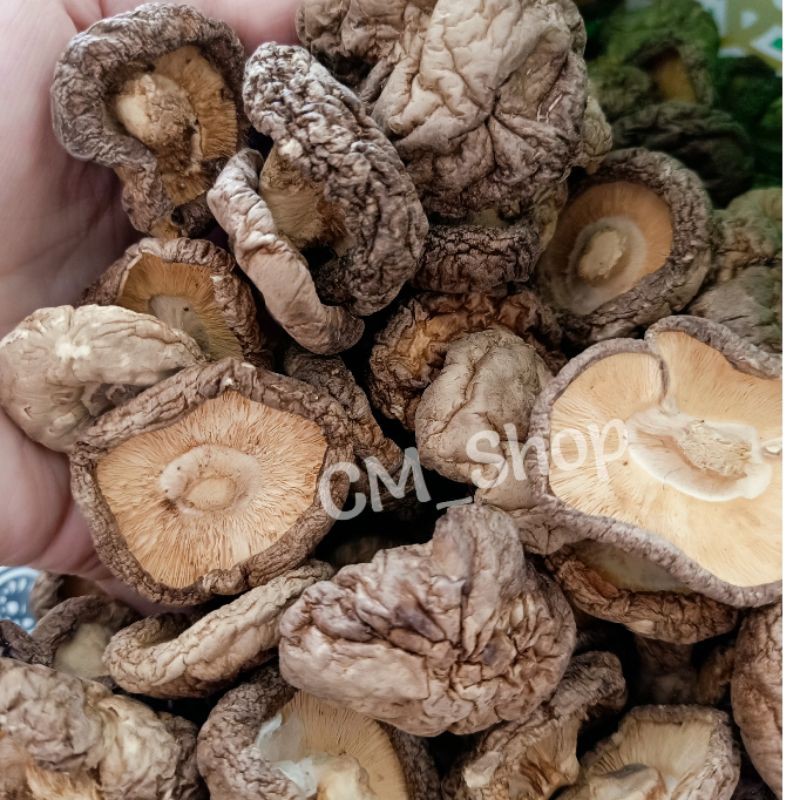 

LL - hioko / hio ko / jamur kancing 50gr 100gr